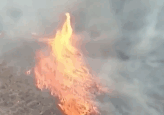 山火肆虐！澳大利亚出现恐怖火龙卷：有史以来最严重火灾