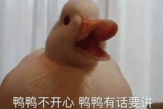 duck不必是什么梗 duck不必什么意思