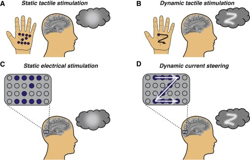 科学家研发盲人视物技术：能够每分钟识别86种形状